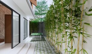 Area taman samping rumah Mr. AM dengan deretan bambu hijau di sepanjang dinding, menciptakan suasana privat dan teduh di area outdoor.